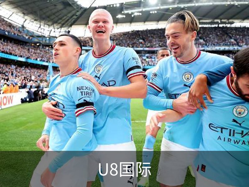U8国际概况